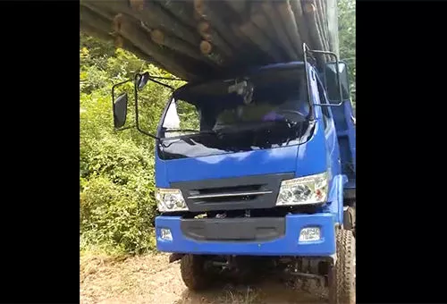 豪华载货-拉毛竹