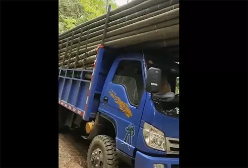 豪华载货-拉毛竹