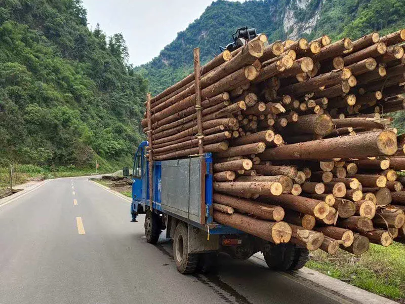 客户合作案例