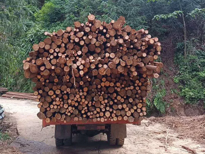 客户合作案例