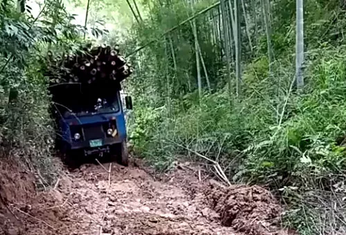 毛竹车案例